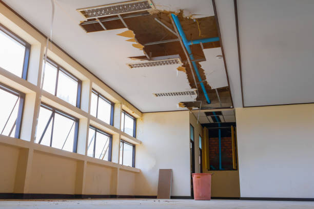 Best Ceiling water damage repair  in Bull Mountain, OR