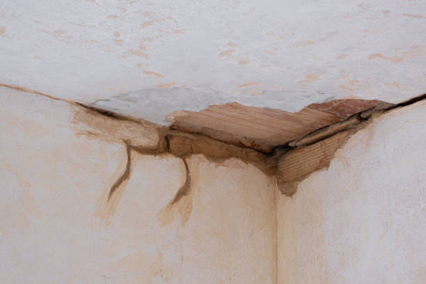 Best Residential water damage restoration  in Bull Mountain, OR