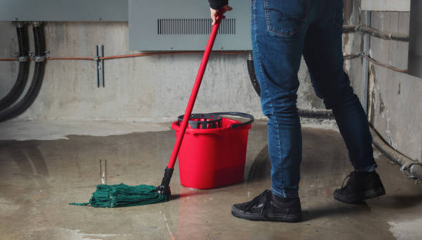 Best Water damage repair service  in Bull Mountain, OR