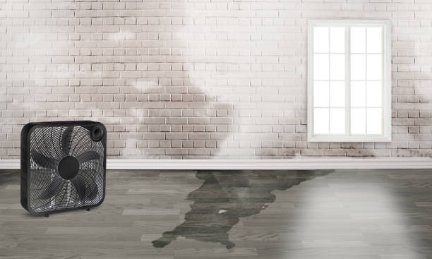 Best Sewage cleanup and water damage restoration  in Bull Mountain, OR