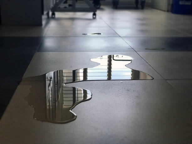 Best Emergency water damage restoration  in Bull Mountain, OR