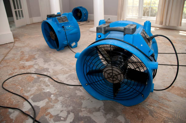 Best Fire Damage Restoration  in Bull Mountain, OR