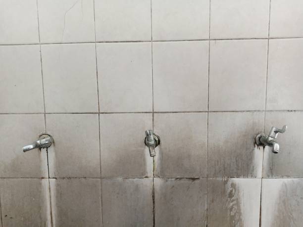 Best Water damage restoration mold remediation  in Bull Mountain, OR