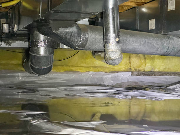 Best Local water damage restoration  in Bull Mountain, OR