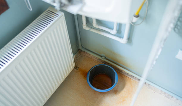 Best Flood restoration services  in Bull Mountain, OR