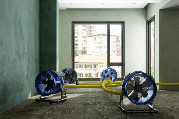 Best Water damage cleanup near me  in Bull Mountain, OR