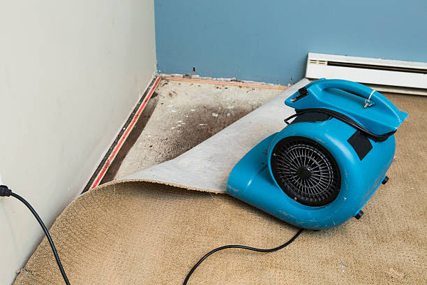 Reliable Bull Mountain, OR Water damage restoration Solutions
